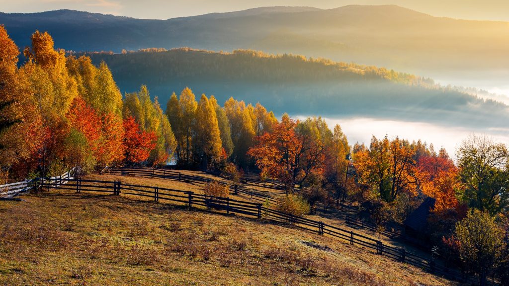 Field and orchard in autumn at sunrise, mountainous countryside with fog in distant, Romania