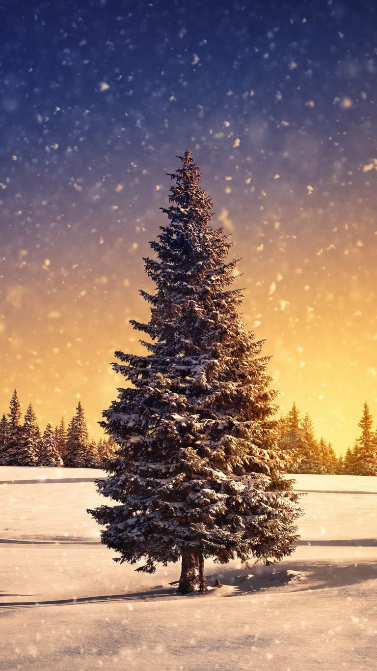 Winter landscape with lonely spruce tree in front during snow storm at