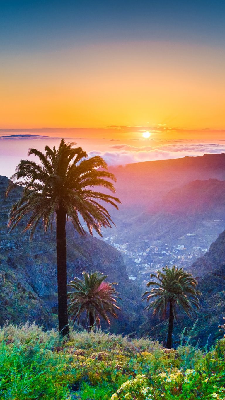 Tropical Scenery With Palm Trees And Mountains At Sunset Canary