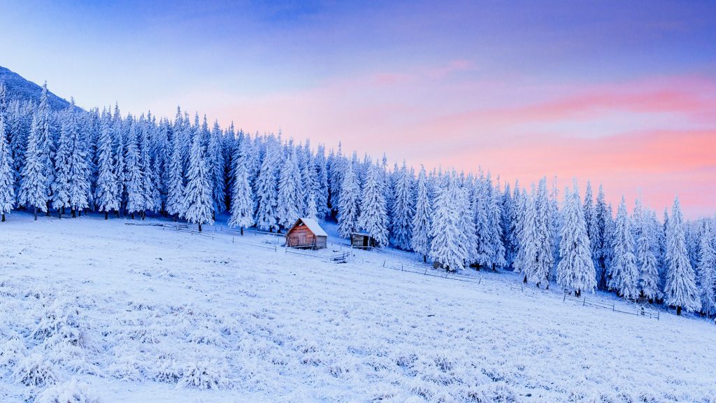 Cabin in Carpathian mountains in winter, Ukraine