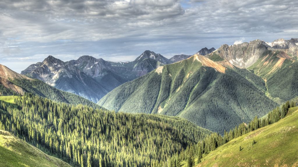 Pines and mountain range view in Rocky Mountains, Silverton, Colorado, USA