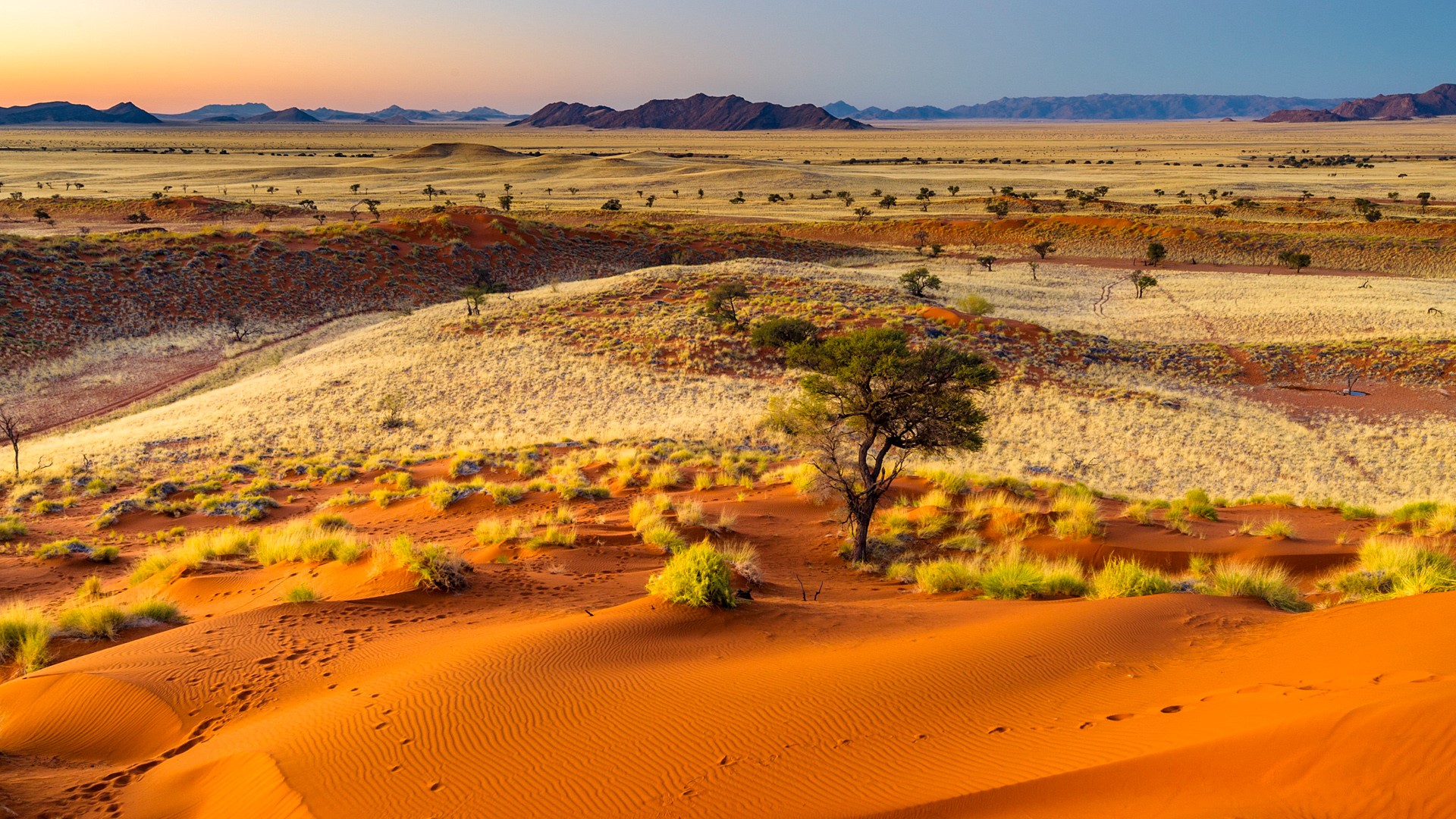 Sunset light over the wide open landscape of the Namib-Naukluft ...