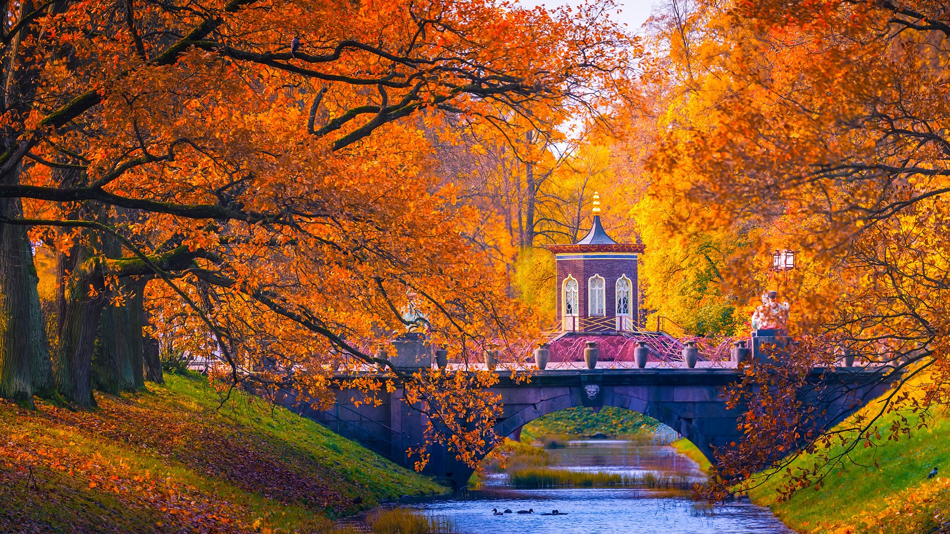 Catherine Park autumn landscape, Tsarskoye Selo (Pushkin) near St