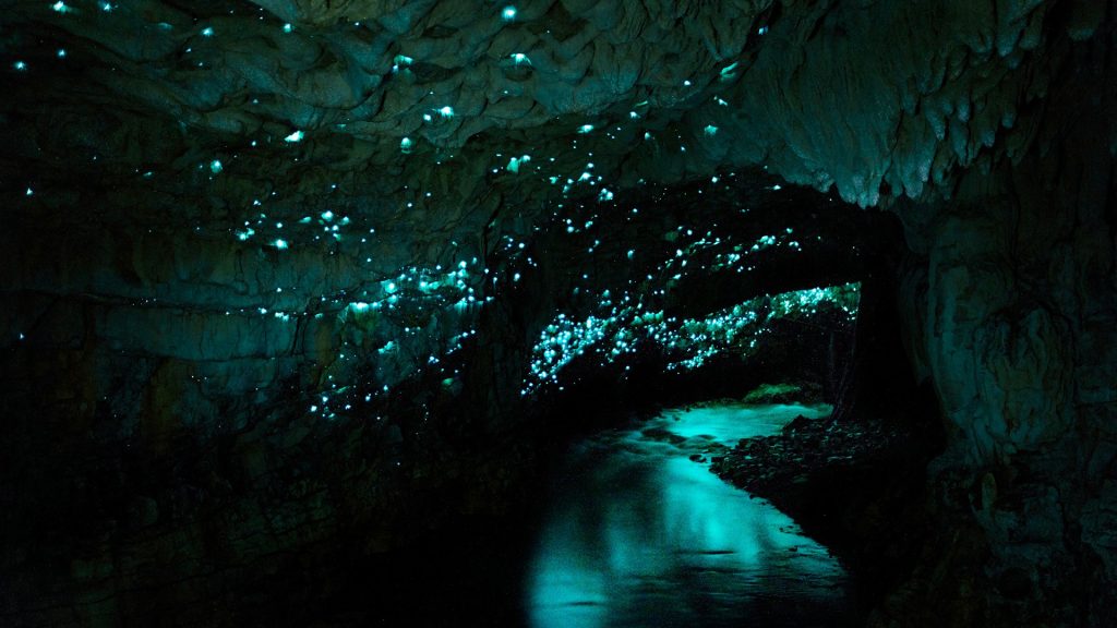 Famous Waitomo glowworm cave, Waikato, New Zealand