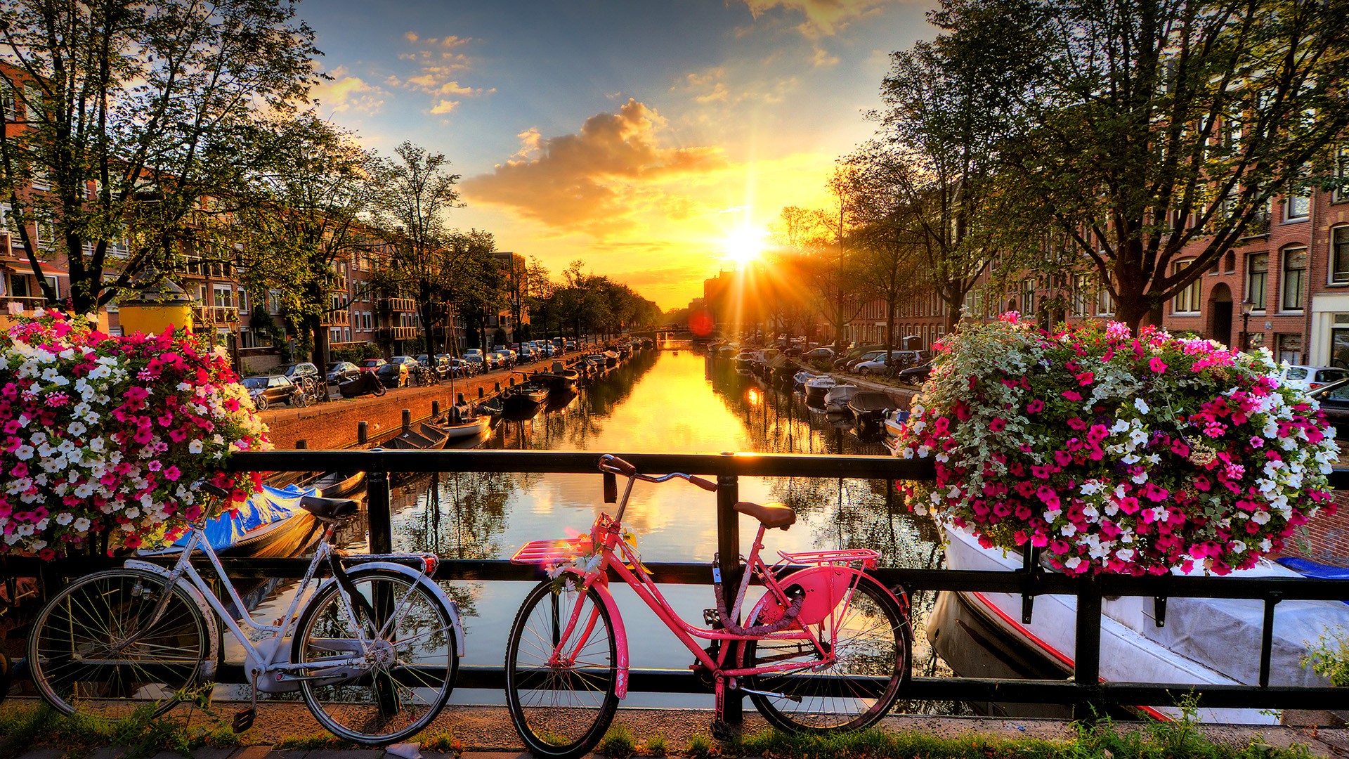 Sunrise over canal with flowers and bicycles on the bridge in spring