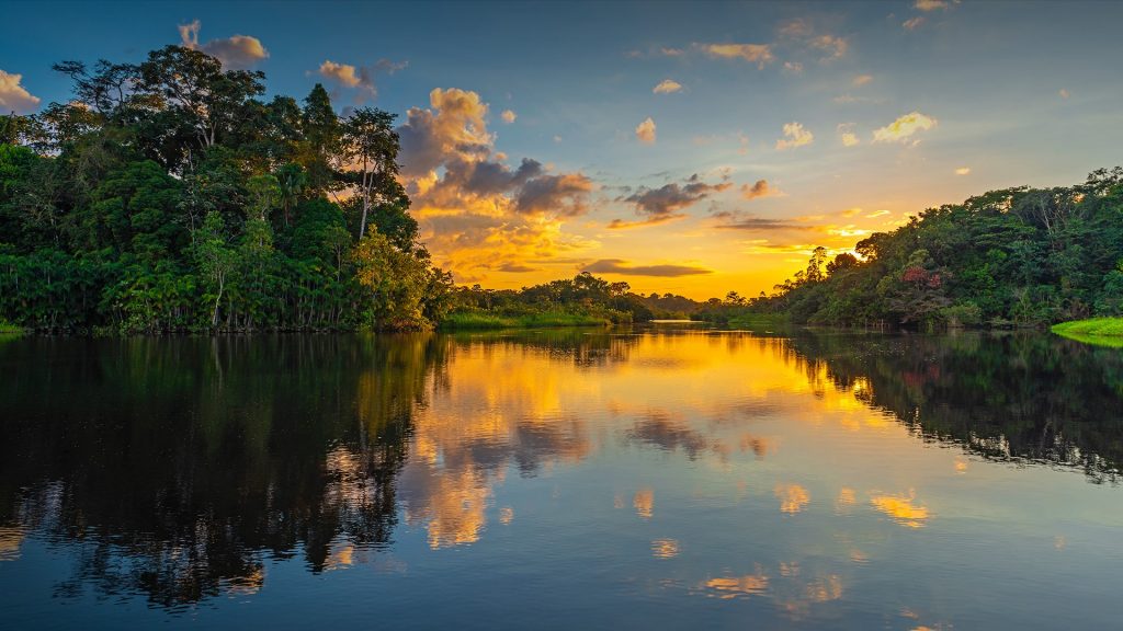 Sunset in the Amazon River Rainforest Basin, Yasuni National Park, Ecuador