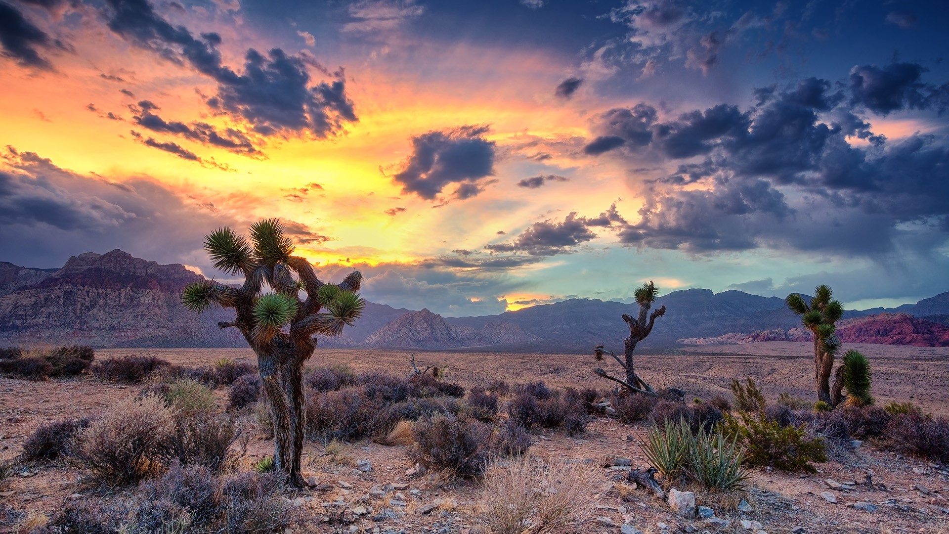 Desert monsoon, Red Rock Canyon, Las Vegas, Nevada, USA | Windows ...