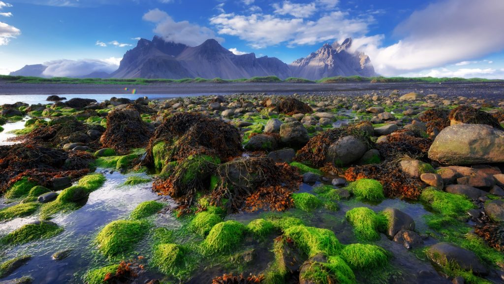 Famous grass hills near Stokksnes mountains, Iceland