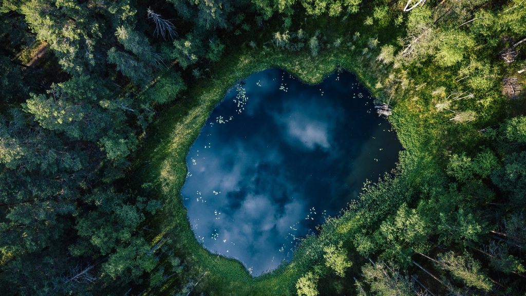 Finnish lakeland, small pond in the middle of forest, Savonlinna, South Savo, Finland