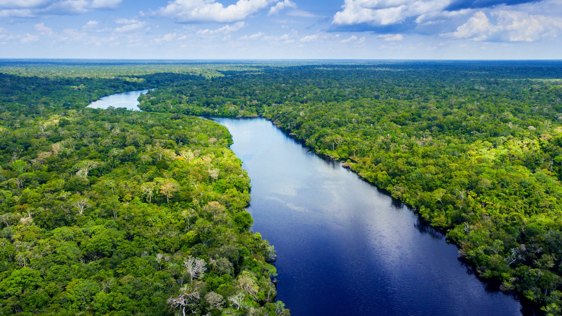 Amazon River In Brazil Windows 10 Spotlight Images