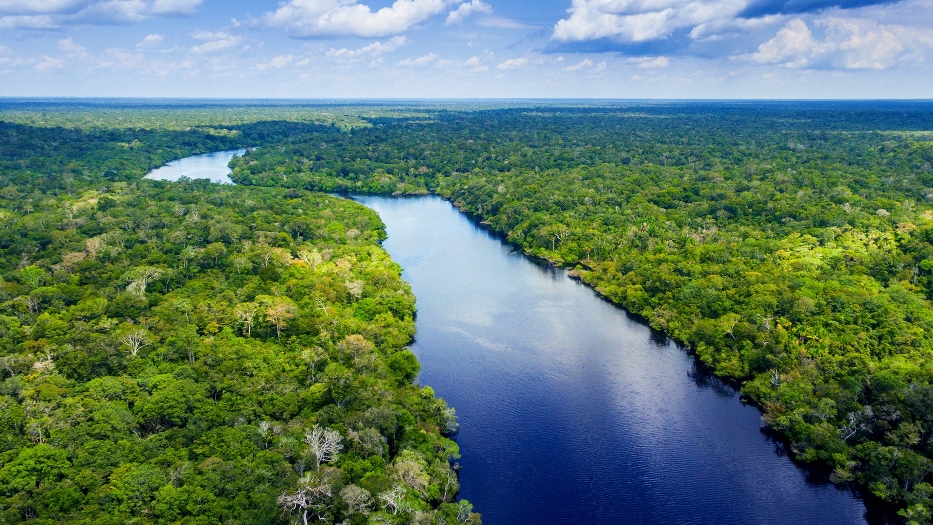 Brazil Amazon River - Amazon River In Brazil Stock Photo - Download ...