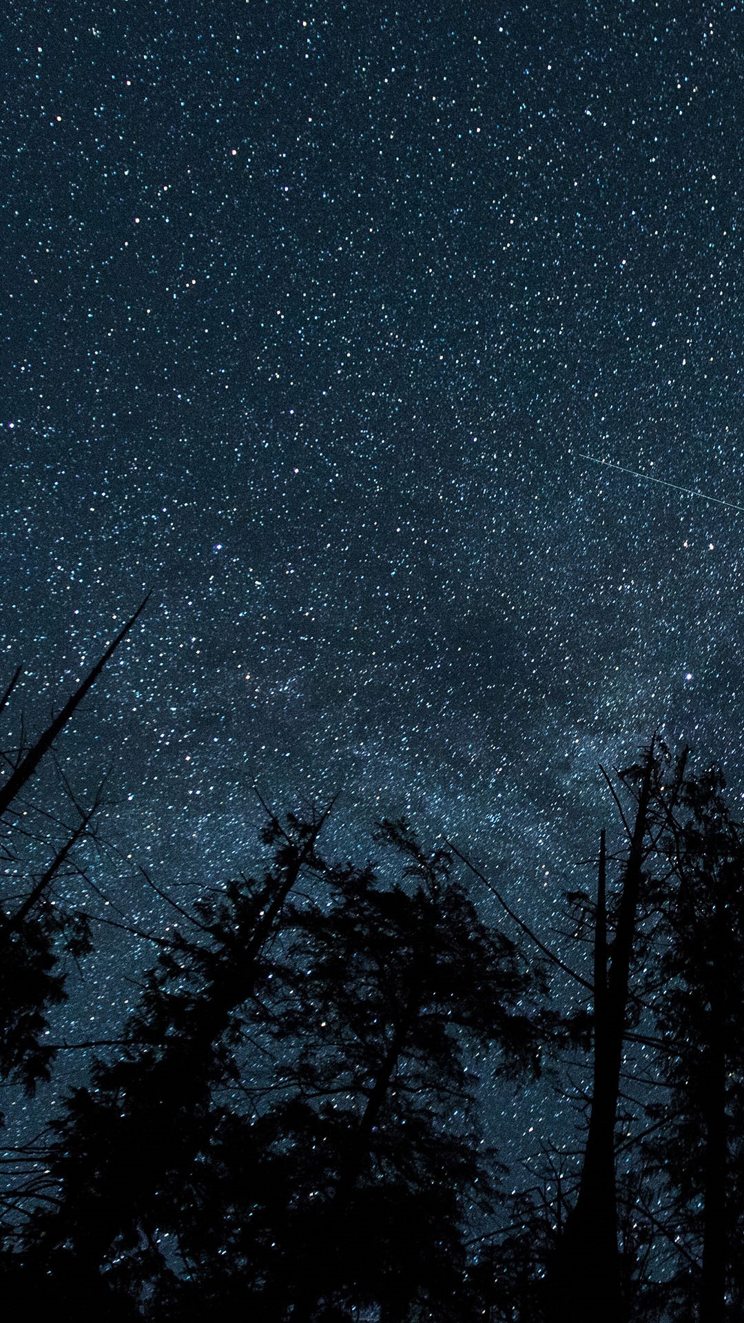 Sky over woods at night | Windows Spotlight Images
