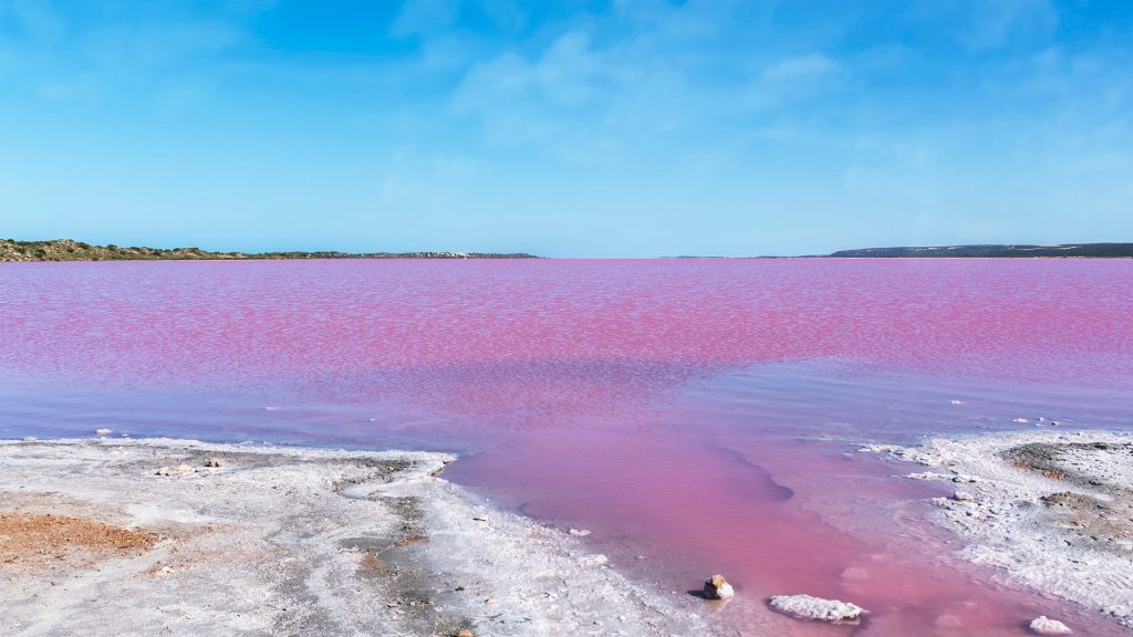 Hutt Lagoon shore at Pink Salt Lake, Gregory, Western Australia
