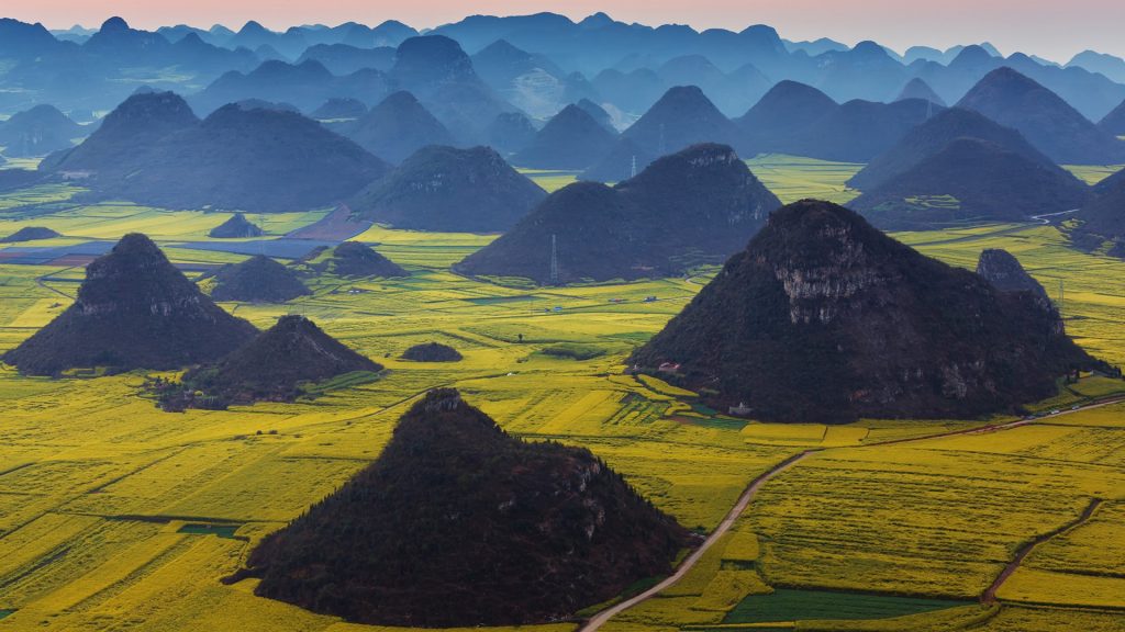 Blooming Rapeseed Field In Luoping Yunnan Province China Windows 