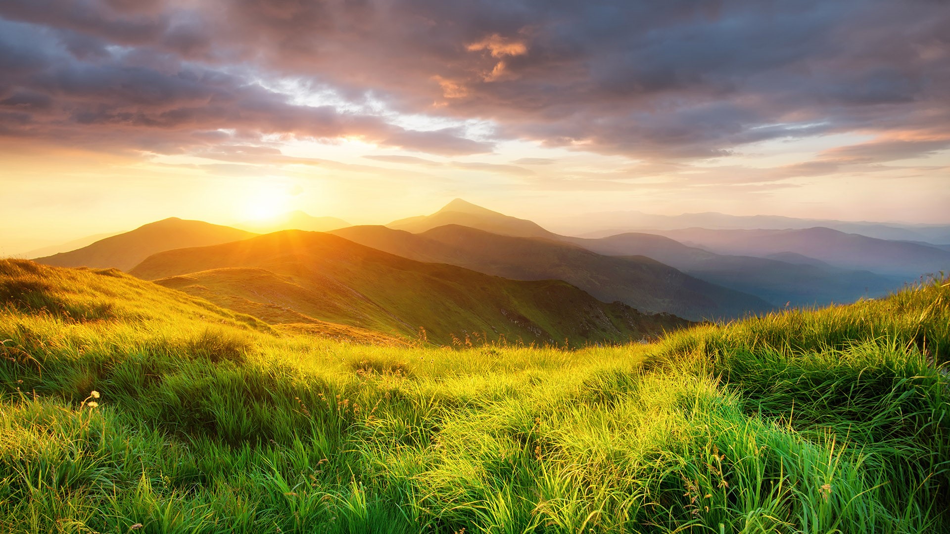 Mountain Valley Landscape During Sunrise At Summer Time Carpathian Mountains Ukraine Windows 10 Spotlight Images