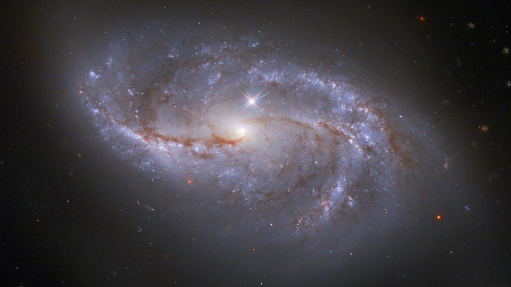 Barred spiral galaxy NGC 2608 in the constellation Cancer