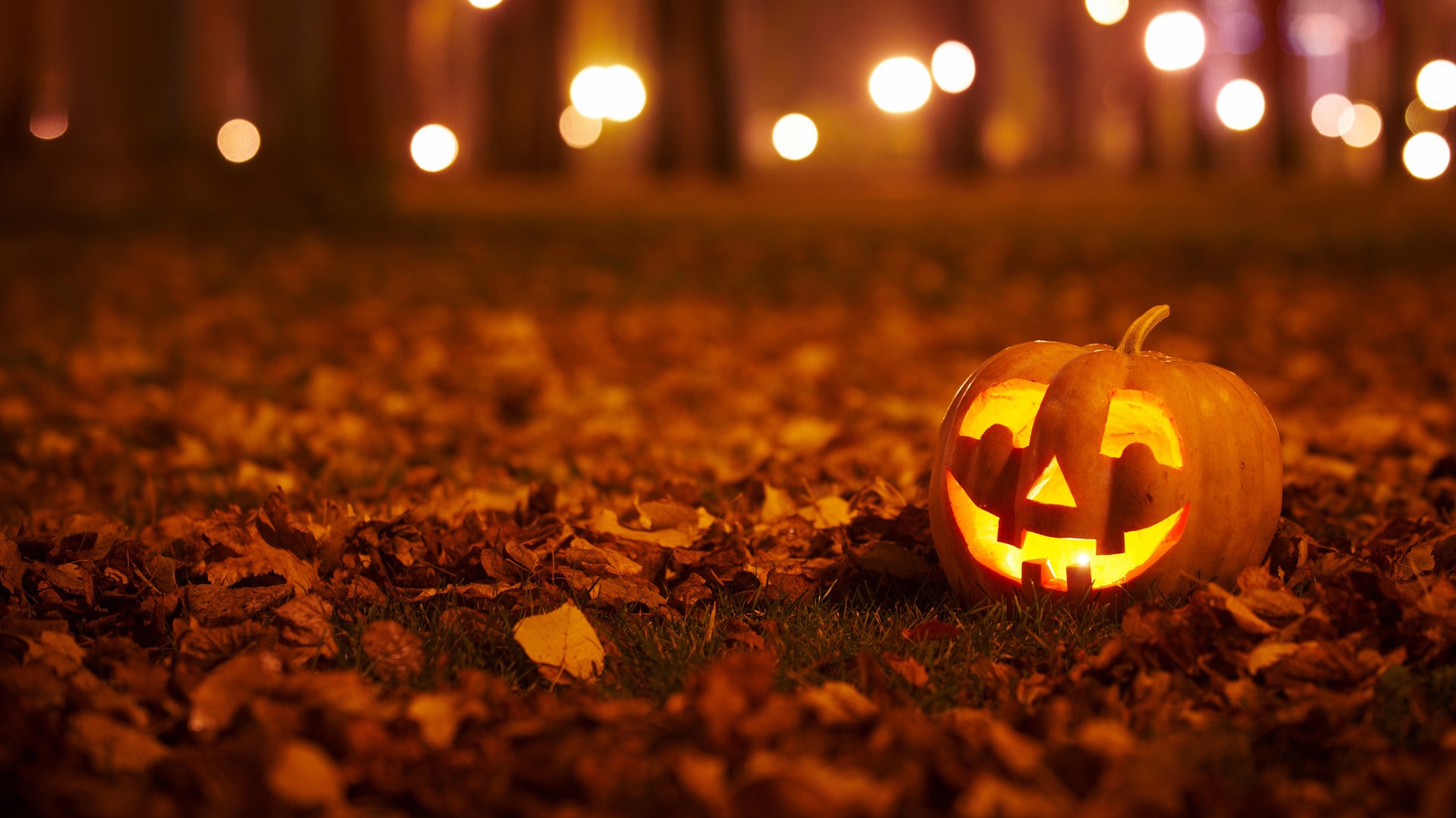 Jack-o'-lantern carved from pumpkin | Windows 10 Spotlight Images