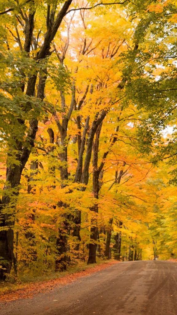 Country Dirt Road With Autumn Foliage Vermont New England Usa