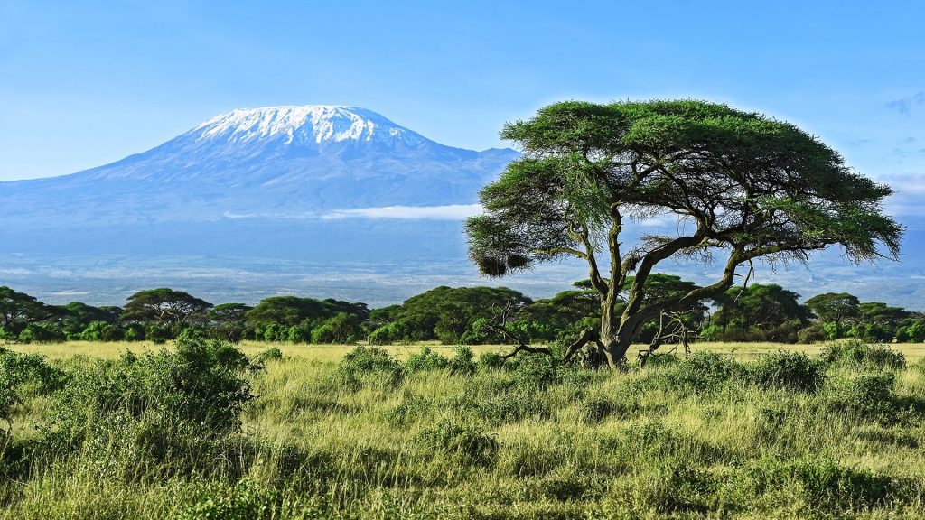 Mount Kilimanjaro view in Amboseli National Park, Kenya