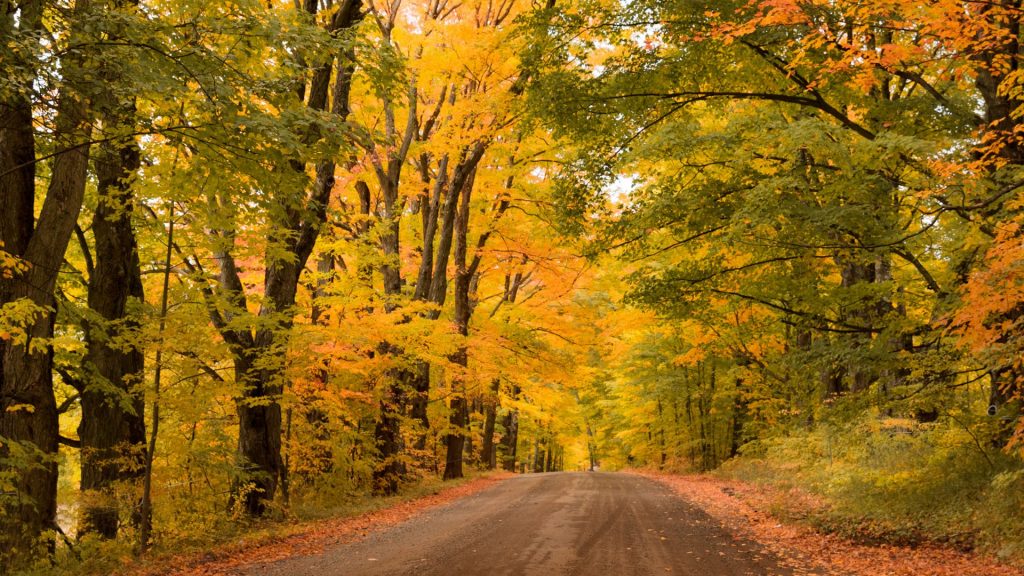 Country dirt road with autumn foliage, Vermont, New England, USA