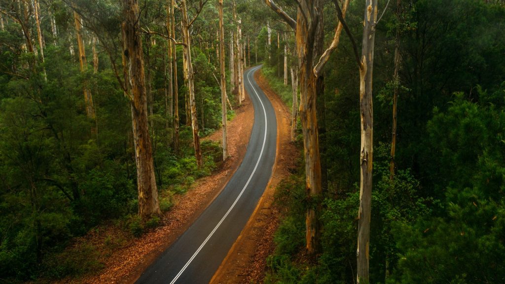 Winding road through the forest in the Greater Beedleup National Park, Western Australia
