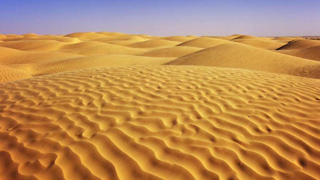 Dunes at the gateway to the Sahara Desert near Douz town, Kebili, Tunisia