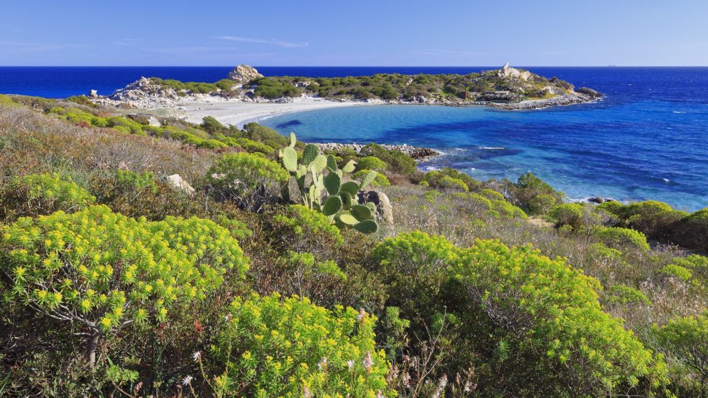 Punta Molentis bay and beach, Villasimius, Cagliari district, Sardinia, Italy