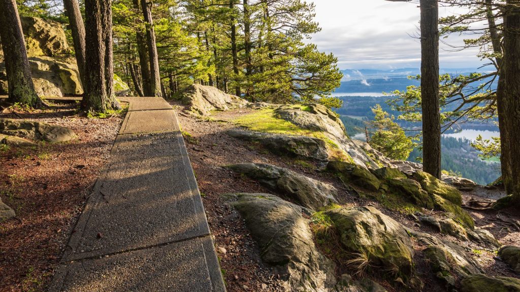 Forest landscape with pathway at Mount Erie in Anacortes, Fidalgo Island, Skagit County, Washington, USA