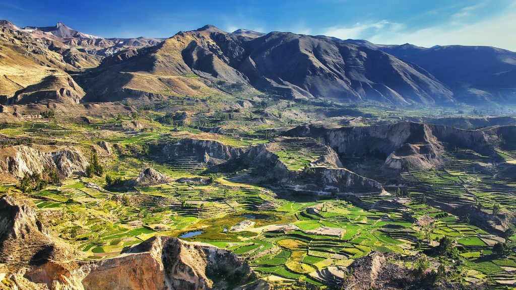 Stepped terraces in Colca Canyon in Andes Peru
