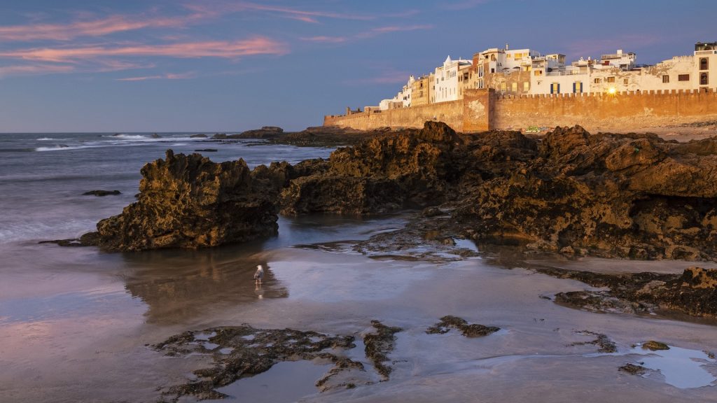 View of the old town at dusk on the Atlantic coast, Essaouira, Mogador, Morocco