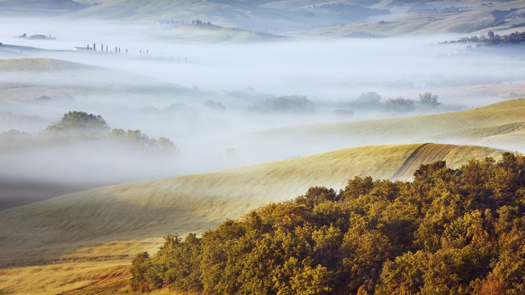 Agricultural landscape in fog, Val d'Orcia, Tuscany, Italy