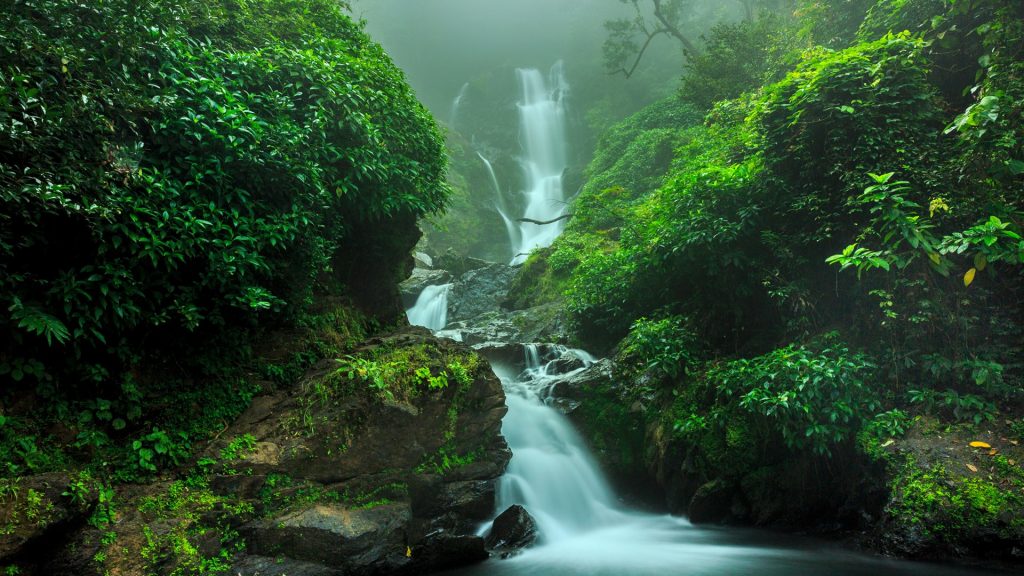 Waterfall in forest, Yanam, India