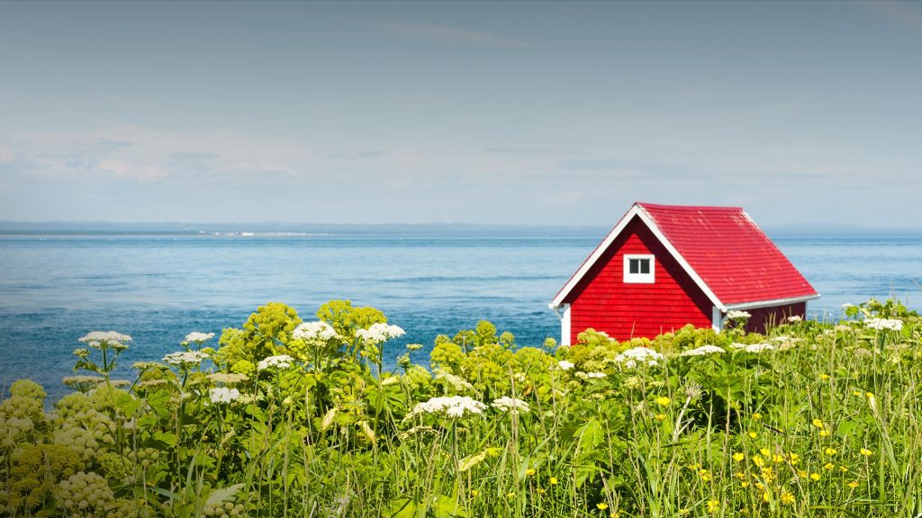 Red shed on an island in a field of wild flowers, Mingan Archipelago, Quebec, Canada