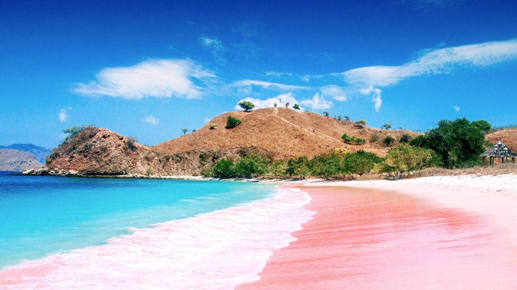 Pink Beach on Komodo Island, East Nusa Tenggara, Indonesia