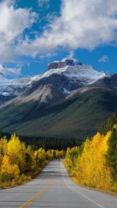 alberta icefields