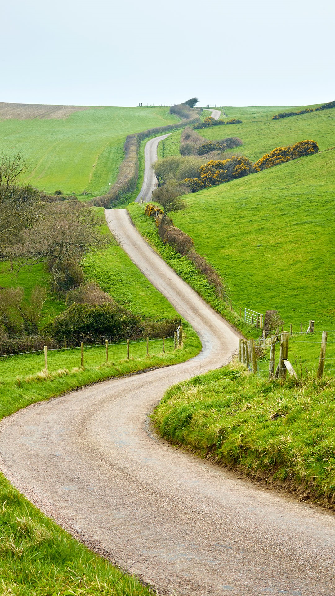 Country road, dirt track trough rural landscape, England, UK