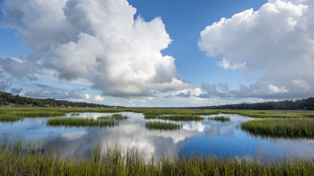 Beach tropical wetlands scenic landscape, Greenway at Amelia Island, Florida, USA