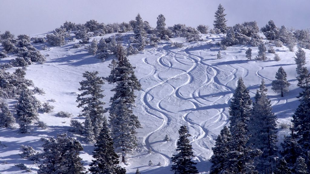 Snow covered ski slope, California, USA