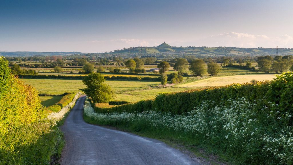 A lane lined with spring flowers down to the Somerset Levels with Glastonbury Tor beyond, England, UK
