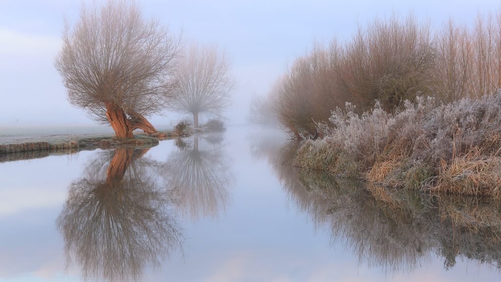 Winter reflections in mist on the River Stour in the Dedham Vale, East Bergholt, Suffolk, England, UK