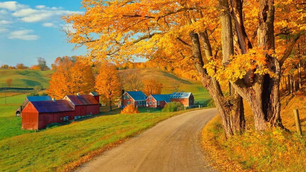 The last afternoon light cast a warm glow on the Autumn country side of Vermont, USA