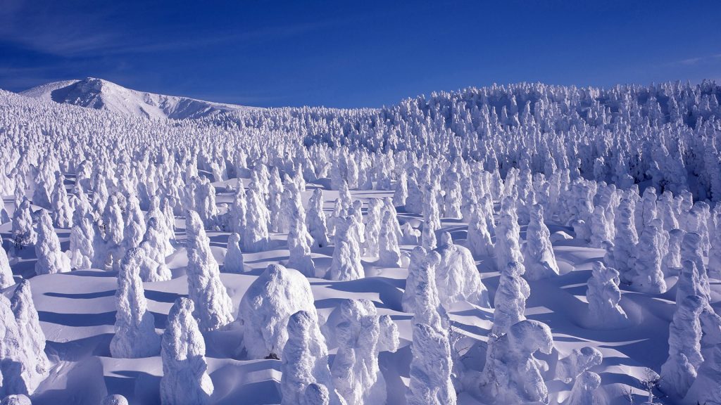 Winter landscape with snow covered trees at Mount Zaō, Yamagata Prefecture, Japan