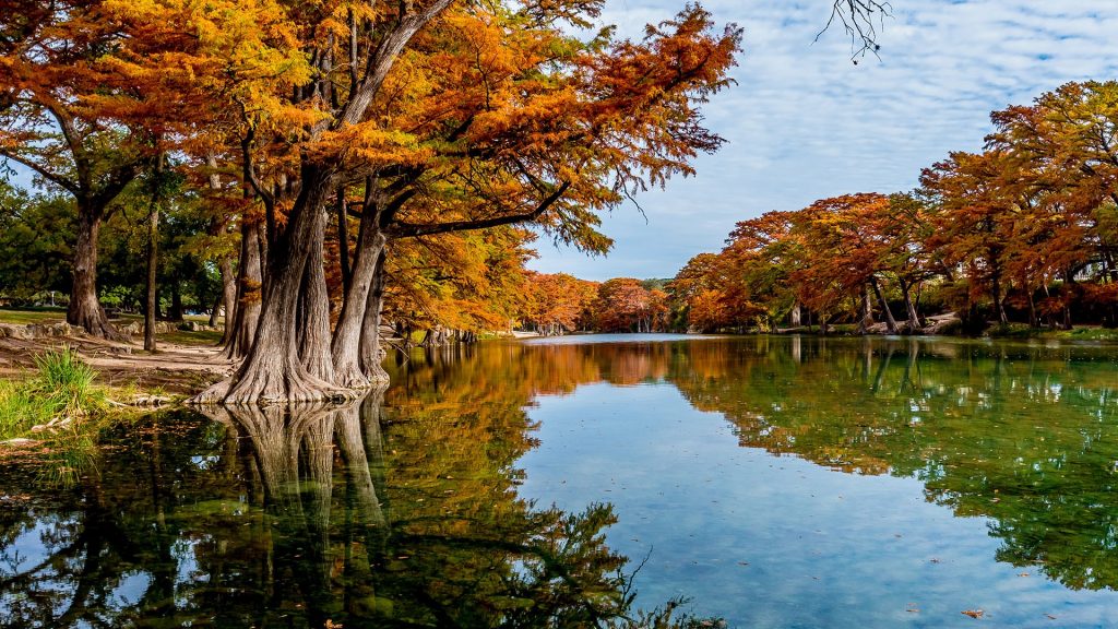 Bright fall foliage on large cypress trees surrounding the clear Frio River, Texas, USA