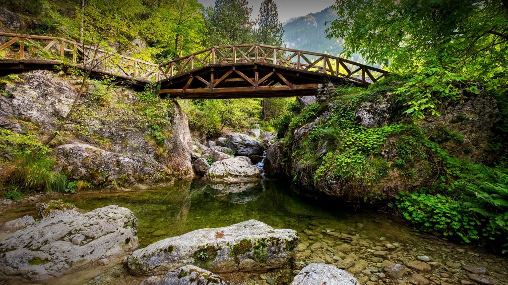 Wooden bridge over a river in the Mount Olympus National Park, Prionia, Greece