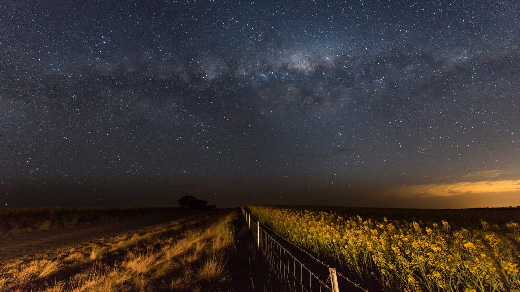 Milky way over canola field, New South Wales, Australia