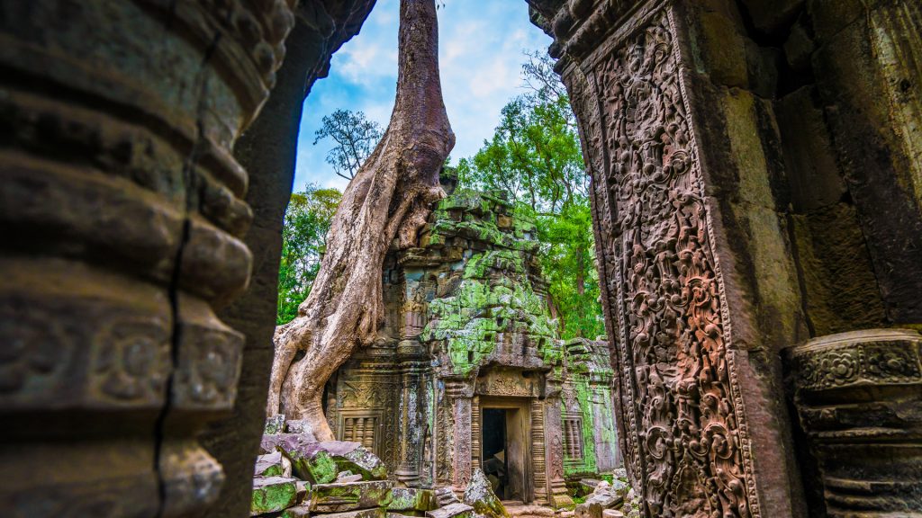 Entrance to Ta Prohm temple, Angkor Wat, Cambodia