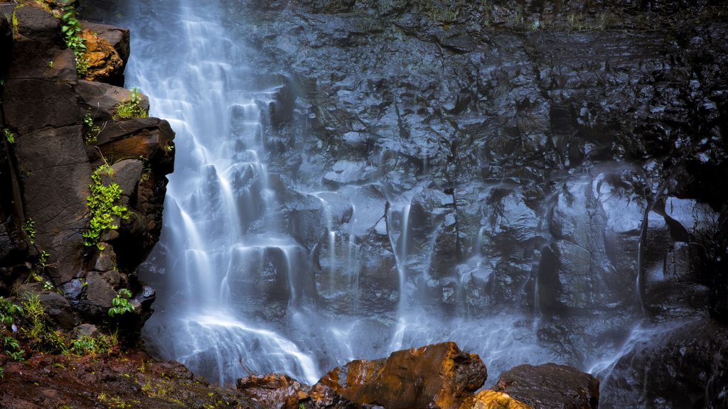 Long exposure shot of a waterfall in Springbrook National Park, Queensland, Australia