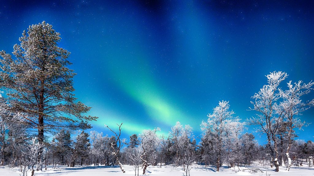 Aurora Borealis northern lights over winter trees and snow in Scandinavia