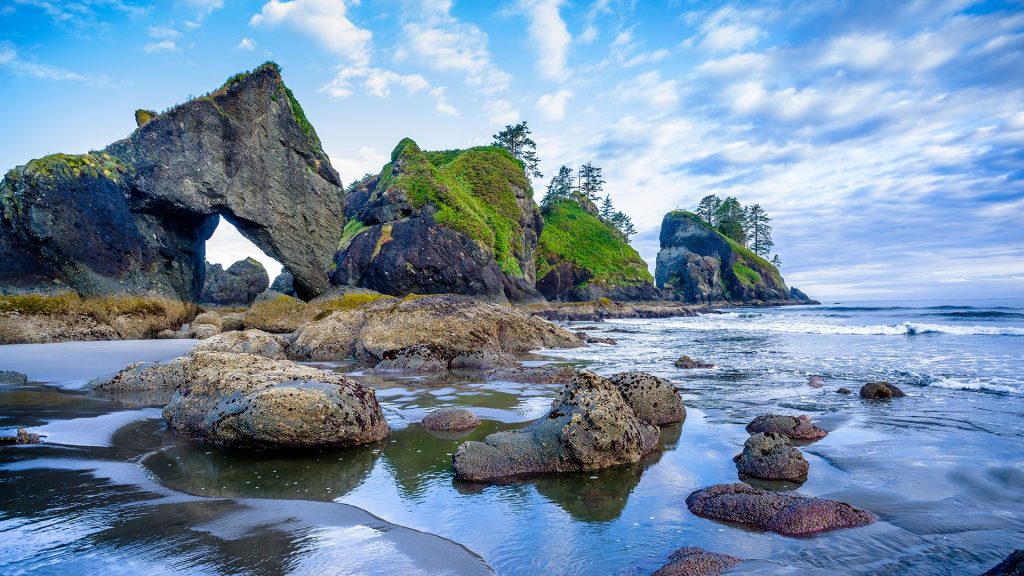Rugged Shi Shi Beach with rock formations, Olympic National Park, Washington, USA
