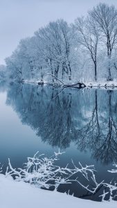 Winter landscape with river in forest at sunset | Windows Spotlight Images